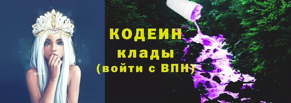 ГАЛЛЮЦИНОГЕННЫЕ ГРИБЫ Снежногорск