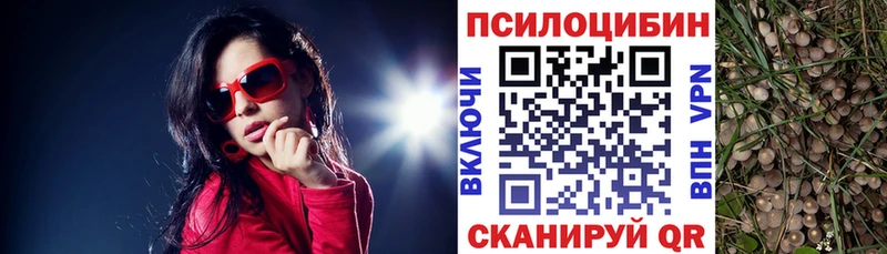 Псилоцибиновые грибы мухоморы  Новочеркасск 