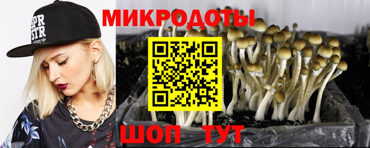 Галлюциногенные грибы MAGIC MUSHROOMS  Вход с VPN  Новочеркасск 