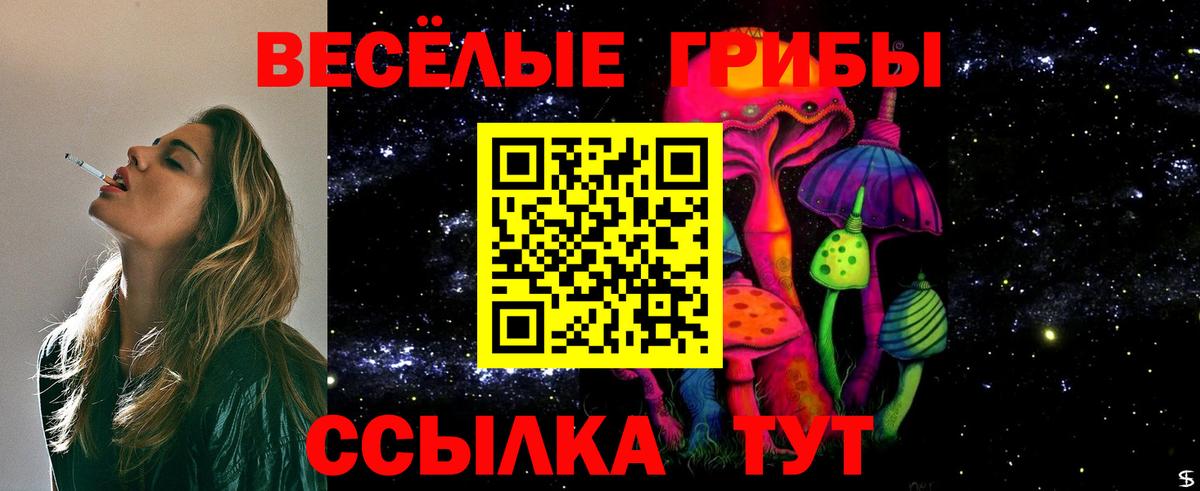 Псилоцибиновые грибы Psilocybine cubensis Новочеркасск